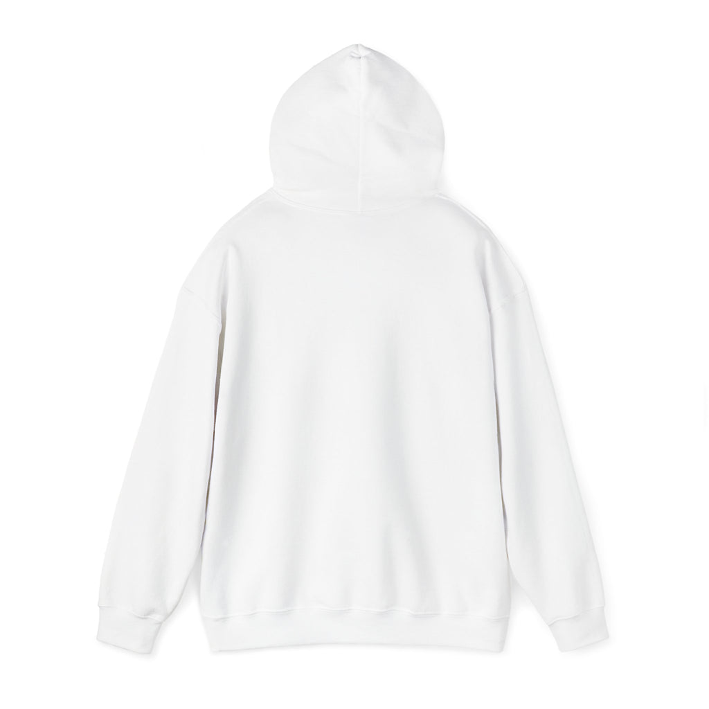 The Couchsurfer Hoodie