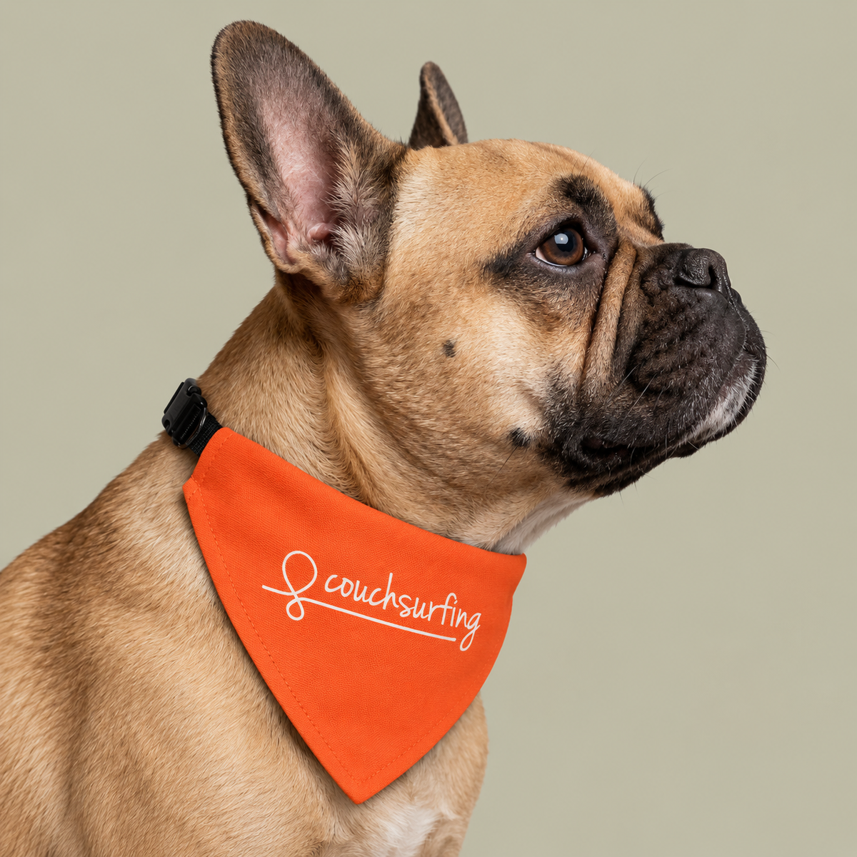 The Pet Bandana